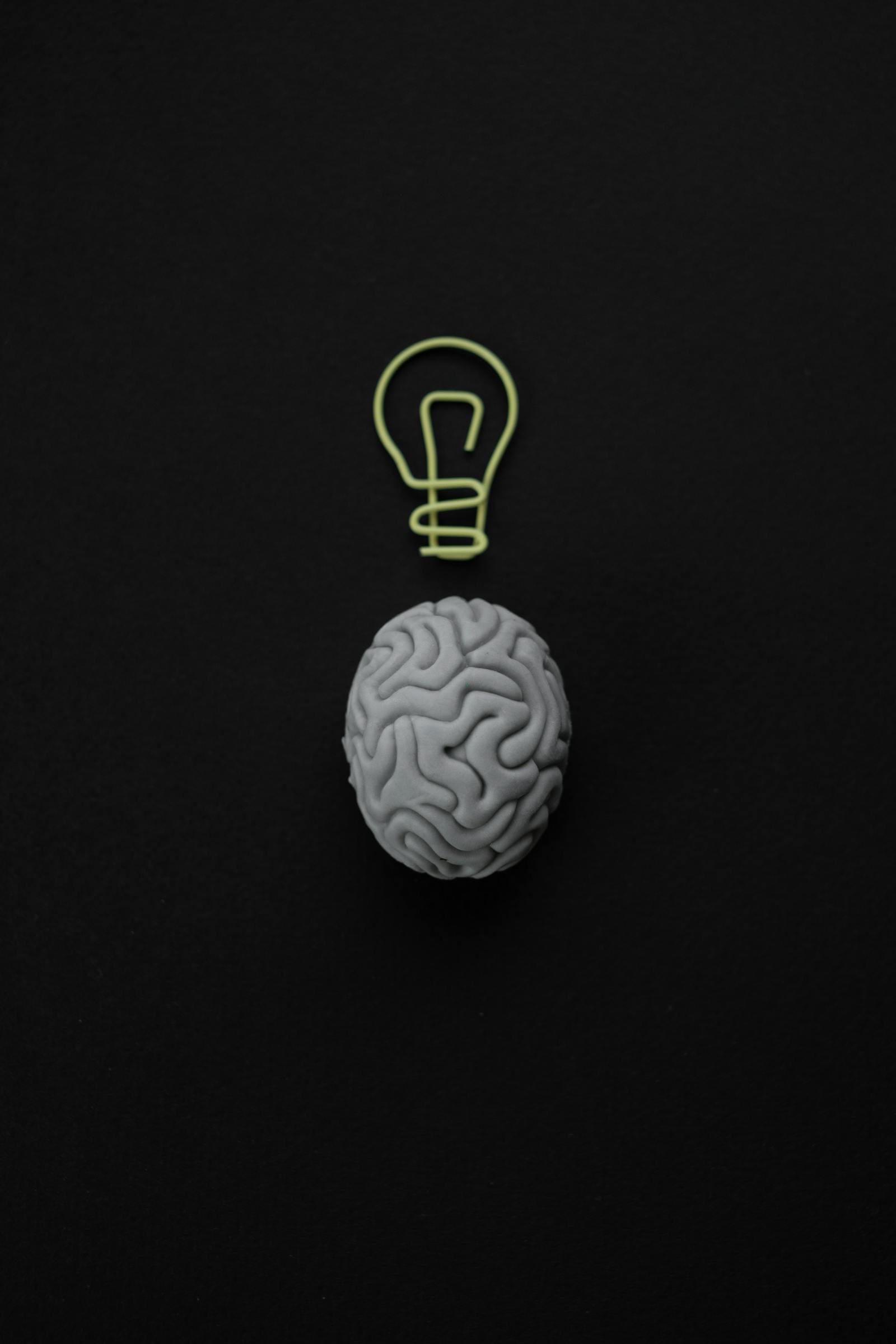 Memory and the brain — illustration